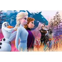 Trefl Disney Frozen 2 maxi puzzel Magische reis - 24 stukjes - thumbnail