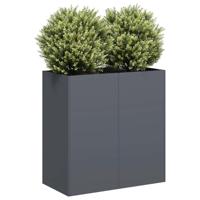 Plantenbak 80x40x80 cm koudgewalst staal antracietkleurig - thumbnail