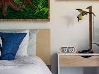 Radioklok CGV Hout - thumbnail