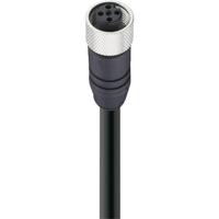 Belden 15735-1 Sensor/actuator dataconnector, geassembleerd M12 Aantal polen (sensoren): 5 Bus, recht 2.00 m 1 stuk(s) - thumbnail