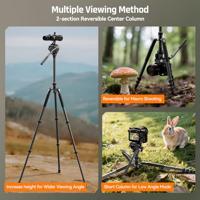 SIRUI Europe Sirui Sportich SP024 + B5X Carbon Tripod 1/4 inch Werkhoogte: 31 - 159 cm Carbon Incl. tas - thumbnail