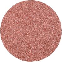 PFERD TOOLS CD 75 A 36 PLUS 42755703 Schuurblad Korrelgrootte (num) 36 (Ø) 75 mm 50 stuk(s) - thumbnail