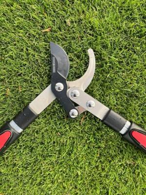 Takkenschaar voorbijsnijdend telescopisch premium 66-99 cm TalenTools - Talentools