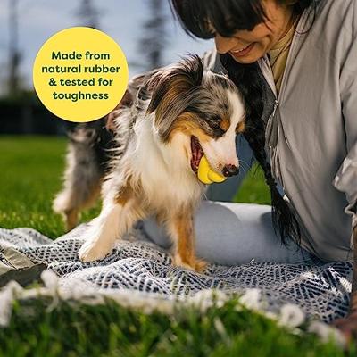 EARTH RATED FETCH TOY RUBBER - thumbnail