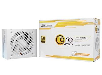Seasonic Core-GX-850 Netvoedingsmodule 850 W ATX 80 Plus Gold