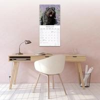 Bouvier Kalender 2026 - thumbnail