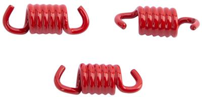 MALOSSI Clutch springs 3st