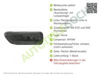 Knipperlicht rechts 185955059 - thumbnail