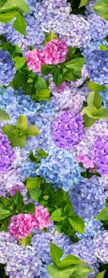 Tafelkleed Hortensia 140x250 cm