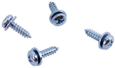 Dresselhaus kentekenplaatschroef tapping screws 5.5x19 4 pcs. in a bag