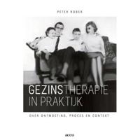 Gezinstherapie in praktijk (Paperback) - thumbnail