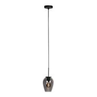 Steinhauer HanglampHaloSwap met 1 smoke glas Ø 15cm - 4290ZW - thumbnail