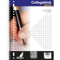 Collegeblok A4 ruit 10mm 23r 5 stuks - thumbnail