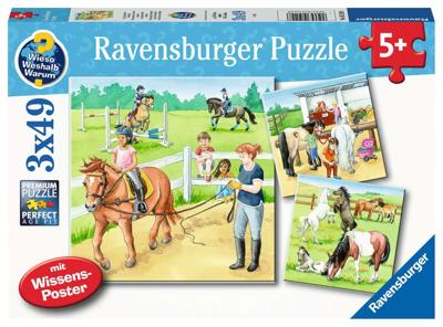 Een Dag Op De Manege (3X49 Stukjes) - Puzzel;Puzzel (4005556051298) Een Dag Op De Manege (3X49 Stukjes) - Puzzel;Puzzel (4005556051298)
