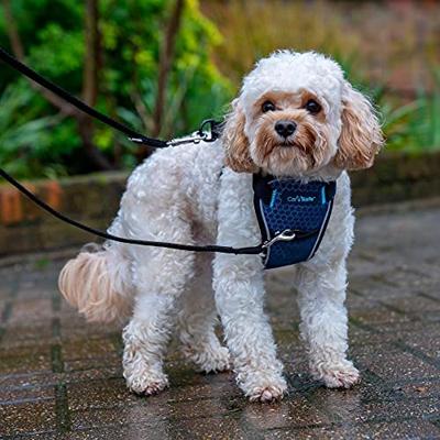 Hondentuigje Company of Animals Carsafe Crash Tested Blauw 34 cm Voor op reis XS