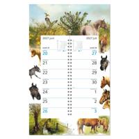 Rien Poortvliet Omlegweek Op Schild 2027 Paarden - thumbnail