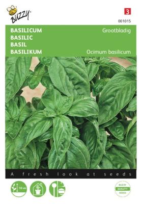 Basilicum Grootbladig