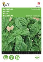 Basilicum Grootbladig - thumbnail