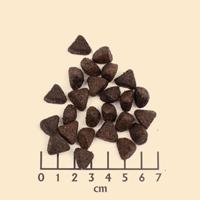 Wolfsblut Wide Plain Senior, per stuk verpakt (1 x 2 kg) - thumbnail