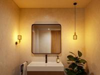 Paulmann 71134 Hanglamp E27 Zwart (mat), Goud - thumbnail