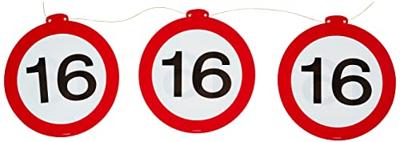 Vlaggenlijn verkeersbord 16 jaar