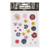 Creativ Company Gedroogde bloemen en bladeren diverse kleuren - thumbnail