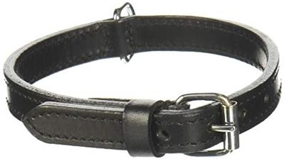 Trixie halsband hond active leer zwart