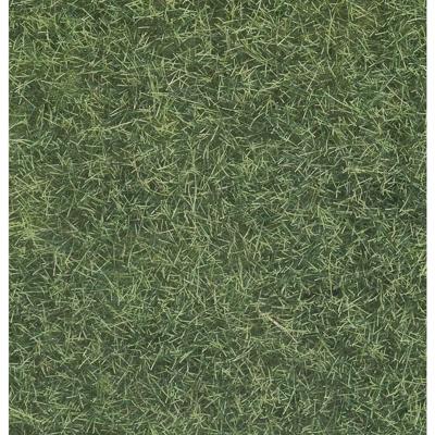 NOCH 07102 Wildgras Lichtgroen