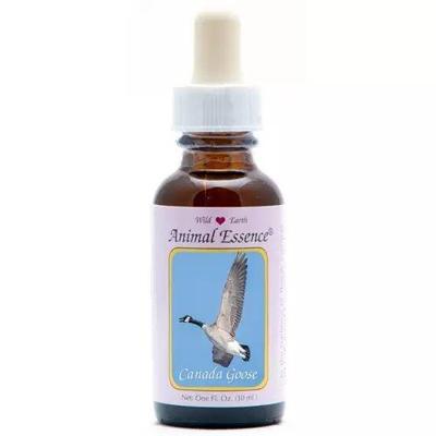Animal Essences Canada goose (Canadese gans) 30 Milliliter