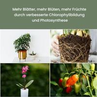 Venso LED-plantenlamp SUNLiTE LED vast ingebouwd 7 W Neutraalwit 1 stuk(s) - thumbnail