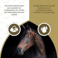 Horse Electrolytes Poeder met B2 - thumbnail