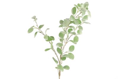 Kunstblad Eucalyptus groen Countryfield - Countryfield
