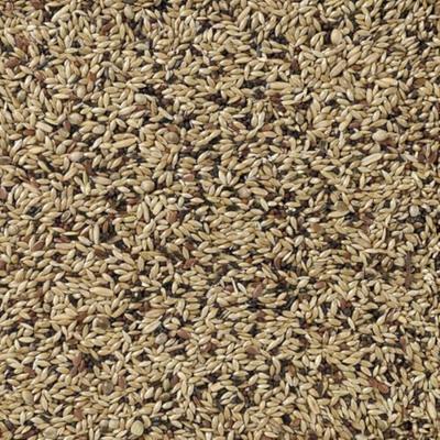 Premium kanarie 4kg Premium kanarie 4kg