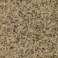 Premium kanarie 4kg - thumbnail