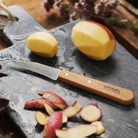 Opinel Keukenmessen - essentials - 4-delig - thumbnail