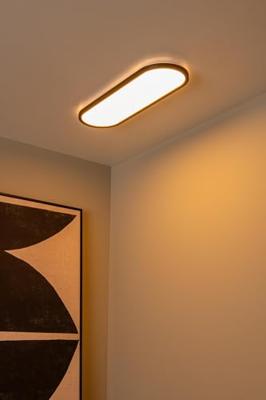 Lucide ELLY - Plafonnière - LED Dimb. - CCT - 1x24W 2700K/4000K - Opaal - Essential