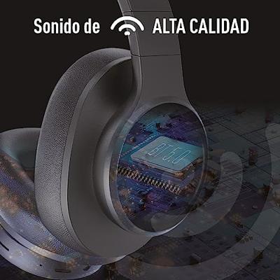 Oordopjes ELBE Zwart Rood