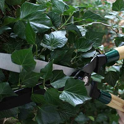 Siena Garden Heggenschaar