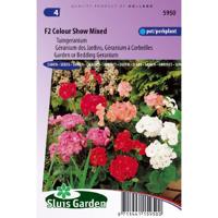 Pelargonium zaden F2 Colour Show Mix geranium - thumbnail