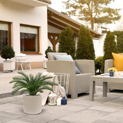 Cycas deluxe kunstpalm 60cm - UV bestendig