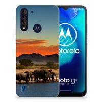 Motorola Moto G8 Power Lite | TPU Hoesje | Olifanten - thumbnail