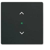 Busch-Jaeger 2CKA006220A0500 Afdekking 1-voudig free@home Diepzwart (RAL 9005), Zwart 1 stuk(s) - thumbnail