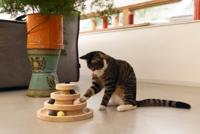 Designed By Lotte speeltoren Mia - thumbnail