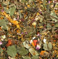 JR Farm knaagdier veldkruiden 200 gram 07106 JR Gebr. de Boon - Gebr de boon - thumbnail