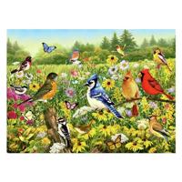 Ravensburger legpuzzel vogels in de wei, 1000st. - thumbnail