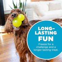 Outward Hound Double-Tuff L Groen - thumbnail