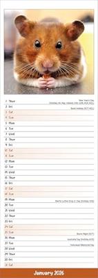 Hamster Kalender 2026 Slimline Hamster Kalender 2026 Slimline