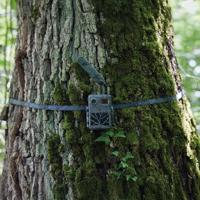 Zeiss Secacam Tree Strap (2x) - thumbnail