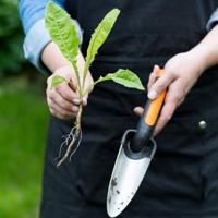 Fiskars Plantschepje premium smal - 1000727 - 1000727 - thumbnail