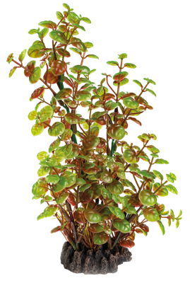 Superfish Art Plant Rotala 25cm - Onderhoudsvrije Aquarium Kunstplant, Veilig & Realistisch